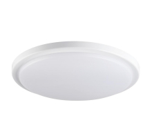 Настенно-потолочный светодиодный светильник Kanlux ORTE LED 24W-NW-O 29161