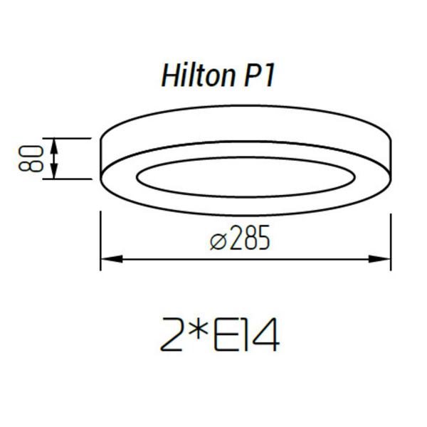 Настенно-потолочный светильник TopDecor Hilton P1 12
