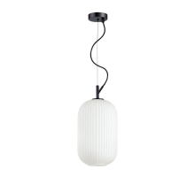 Подвесной светильник Odeon Light Pendant Roofi 4751/1