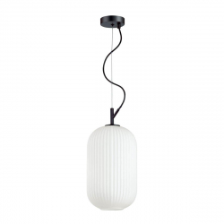 Подвесной светильник Odeon Light Pendant Roofi 4751/1