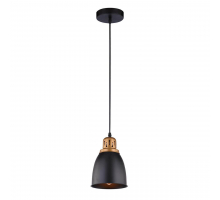 Подвесной светильник Arte Lamp Eurica A4248SP-1BK