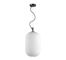 Подвесной светильник Odeon Light Pendant Roofi 4752/1