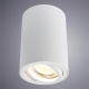 Потолочный светильник Arte Lamp A1560PL-1WH