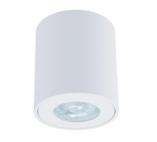 Потолочный светильник Arte Lamp Tino A1469PL-1WH