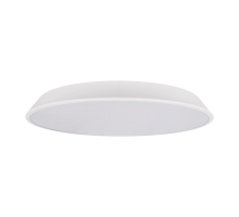 Потолочный светодиодный светильник Loft IT Brim 10226 White