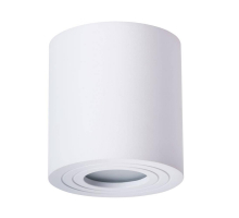 Потолочный светильник Arte Lamp Galopin A1460PL-1WH