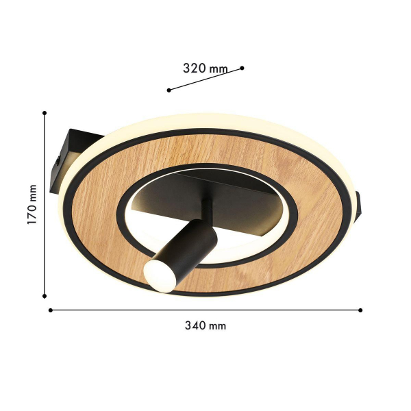 Потолочный светодиодный светильник F-Promo Olika 4438-1C