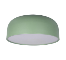 Потолочный светодиодный светильник Loft IT Axel 10201/480 Green