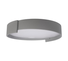 Потолочный светодиодный светильник Loft IT Coin 10200 Grey