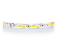 Светодиодная лента Lightstar 24W/m 240LED/m дневной белый 5M 421024